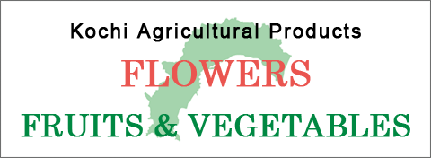 Kochi Agricultural Products